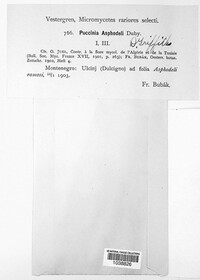 Image Associated With the Occurrence